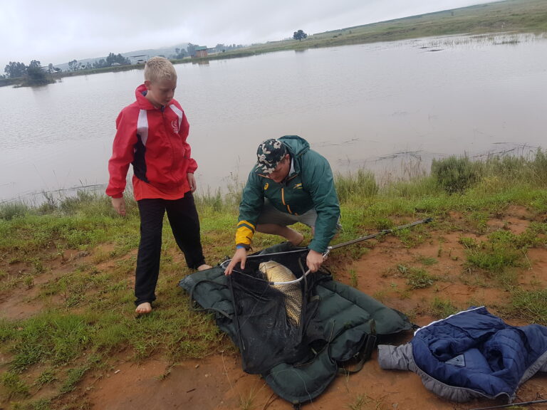 Beautiful carp at Zelpy Fishing and Game Reserve