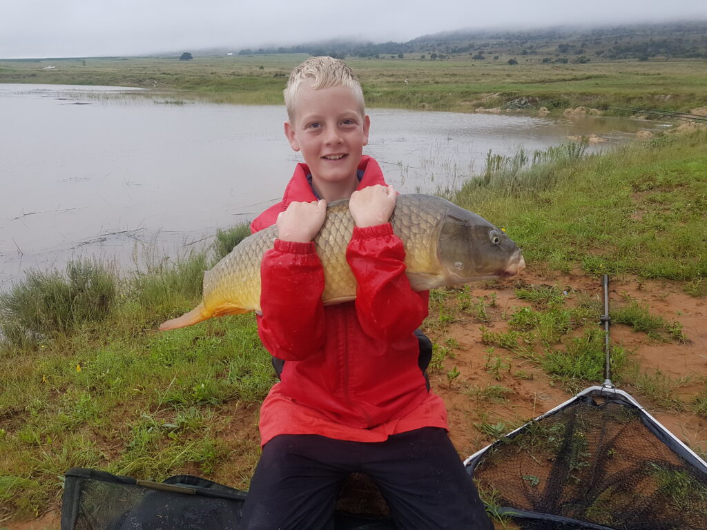 Beautiful carp at Zelpy Fishing and Game Reserve