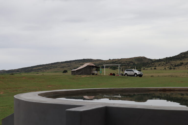 Farm dam to swim in at Zelpy Fishing and Game Reserve