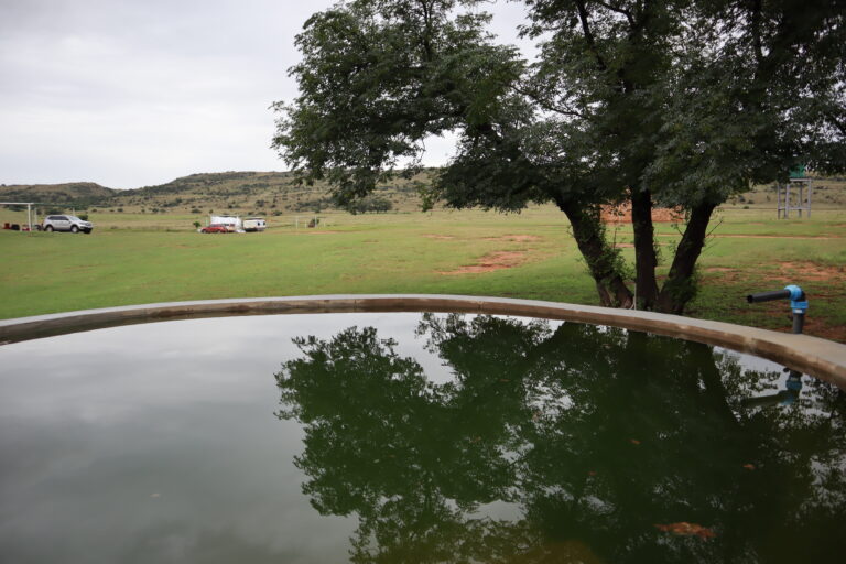 Farm dam to swim in at Zelpy Fishing and Game Reserve