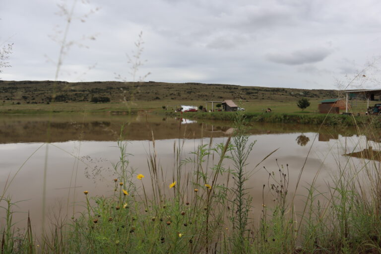 Camping and fishing at Zelpy Fishing and Game Reserve