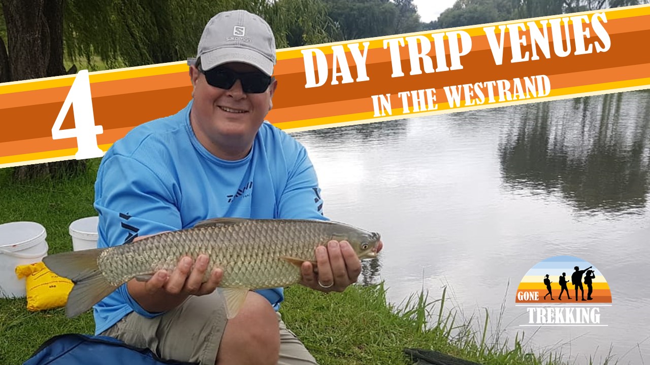 4 Fishing spots for the day in the Westrand