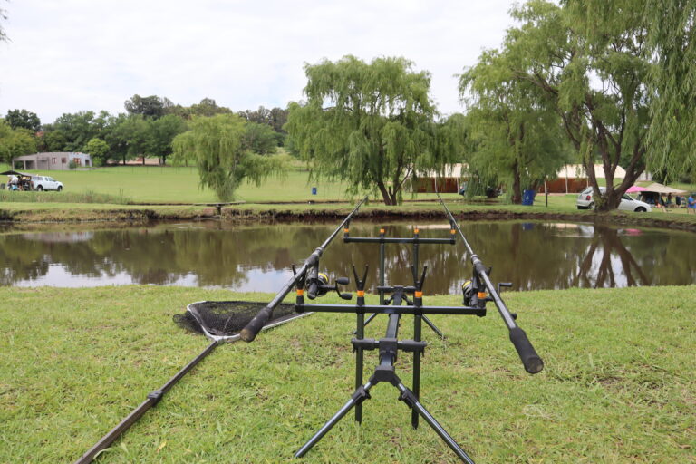 Willow Waters, fishing pod over dam with green grass on the banks and a Weeping Willow