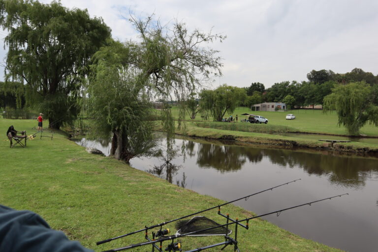 Willow Waters, fishing pod over dam with green grass on the banks and a Weeping Willow