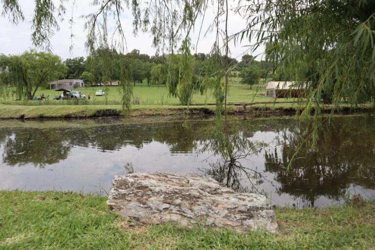 Willow Water Fishing dam and green grass bank