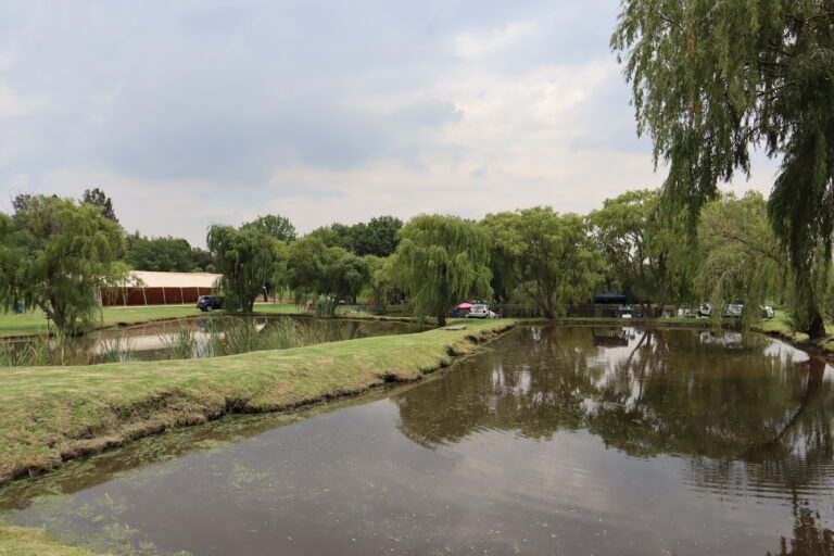 Willow Water Multiple fishing dams and green grass