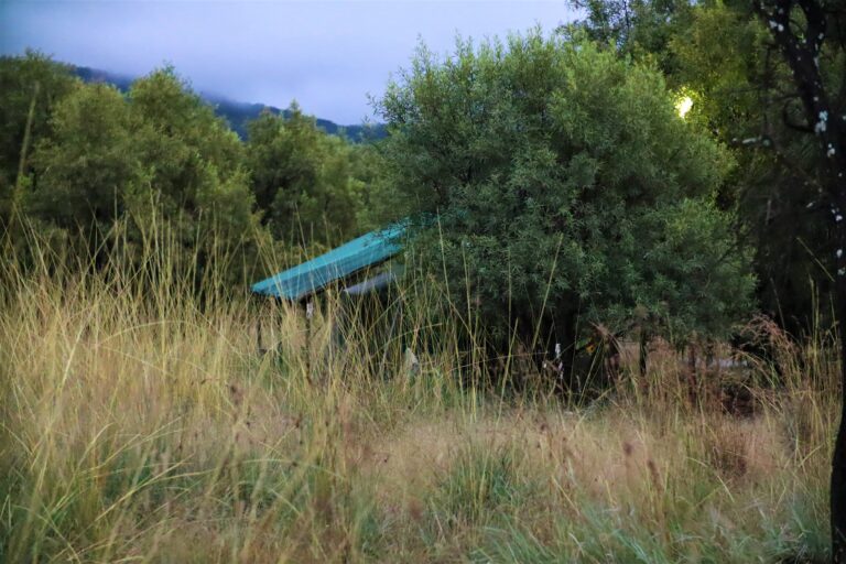 Tent in the bush at Mvubu Game Lodge