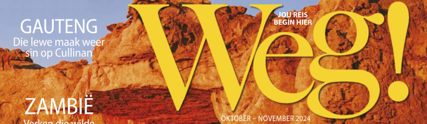Spotlight on Weg! Magazine